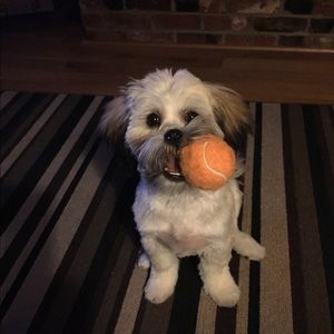 Meet your Posher, Suzanne